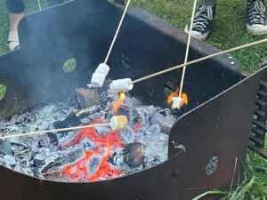 Port Colbourne Baptist campfire